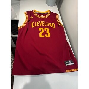 Adidas LeBron James Cleveland Cavaliers Jersey Burgundy youth XL Authentic NBA